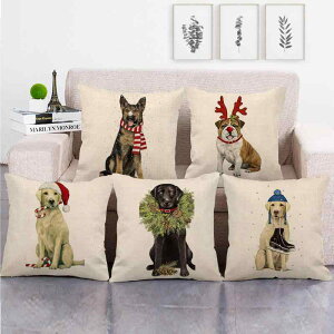 NbVJo[   lf Vv _  킢 Jo[ \t@NbV rO Q q  V CeAG