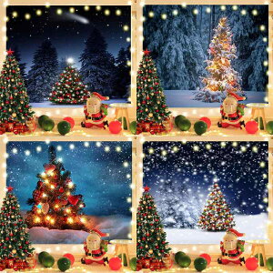 ^yXg[ NX}Xc[ Ǌ| EH[fR[V Q rO wiz CuzM ʐ^Be  fR[V t kX^C |GXe ~