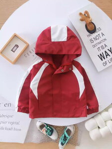 WPbg LbY j̎q xr[ ؂ւ t[ht }Eep[J[ tH h h  Rbgf _炩G nt LN^[  JWA ig bh 