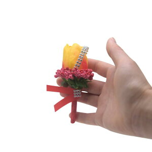 RT[W  uC_ EFfBO ԉ uCYCh VY jp Q Xgu[P u[gjA  A `[bv zCg sN u[ IW bh