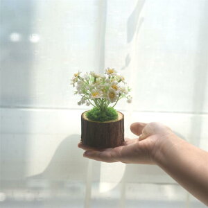  ݑ  ~jA  A tFCNO[ CeA u  킢 fXNgbv rO Q ItBX   Be