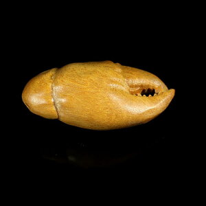 Xgbv h Βh h ؐ I̒ 蒤 Õ g a X}z g  L[z_[ obO`[  J^  N ݂