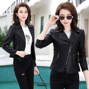 U[WPbg fB[X {v rv U[ ȓ V[g XtBbg e[[hJ[ WbvAbv ubN h H~  JWA