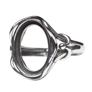 w fB[X TCY\ t[TCY DIYp Vo[925 g AeB[N Ԃdグ ^[RCY  p Η w֘g g