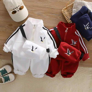 ZbgAbv j̎q {[CY H  gbvX vI[o[ Opc  Rbg 2_Zbg C[Ovg Aj} _炩  X^CbV