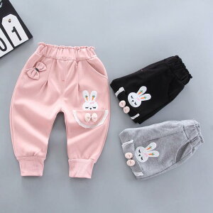 pc xr[ K[Y LbY ̎q  Rbg Y{  킢 gh ؍ H~ ig ł 킹₷ SEGXg ނւȒP J[gD[