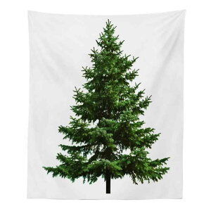 ^yXg[ NX}Xc[  Ǐ CeA rO Q AEghA @\ uPbg r[`^I |GXe ĕ EHbVu `