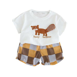 LbY ZbgAbv j̎q ̎q  V[gpc 2_Zbg LN^[   Rbg    c xr[ i [EFA pW} ؍q