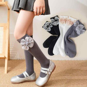 C LbY ̎q  || {  킢 L[g  ~h nC\bNX  Rbg ʋC ɂ  tH ʊw ig fC[   O[