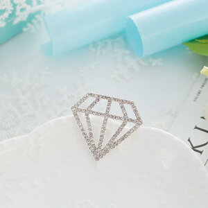 u[` Y jp NX \ CXg[  su[` ys t@bV S[h Vo[ 􉽊w͗l ANZT[ X[cX^C(x2)