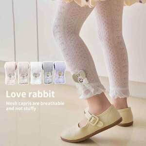 ^Cc ̎q LbY qp 9 MX Xpbc  bV n[g  { [X Rbg  ʋC  ėp 킢 