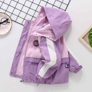 EBhu[J[ ̎q LbY WjA tH AE^[ t[ht }Eep[J[ {A WbvAbv  ȑf _炩 ؍t@bV 킢 JWA ~h 