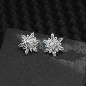 sAX fB[X Z䊐 X^[ WRjA pF LL P  @ fUC 􉽊w  X^bhsAX Ԃ ؍t@bV ig JWA p[eB[ Mtg