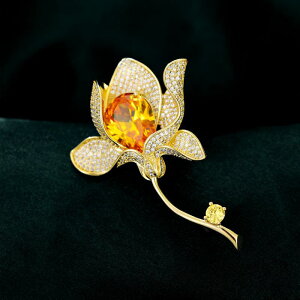 u[` fB[X ؍ ߂ WRjA }OmA t[ GKg  S[h  p[eB[ Ǝ w X[c WPbg `CihX s[X