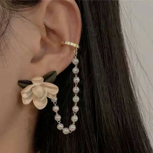 C[JtsAX fB[X t`X^C JA p[ p[ ̌^ gVbN t[`[t i ؂₩ o tH[}