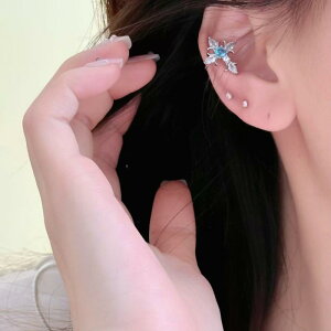 C[Jt fB[X mz[ u[WRjA NX Ԃ @ N[ GKg i  CgOWA[  ig t