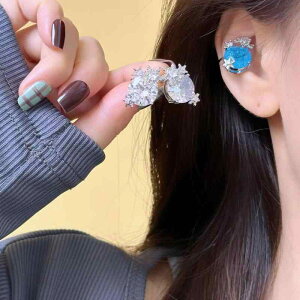 CO fB[X mz[sAX C[Jt WRjA ̌ X̌ Xm[t[N u[ Vo[ i GKg 킢 tF~j  dCbLH t ؍