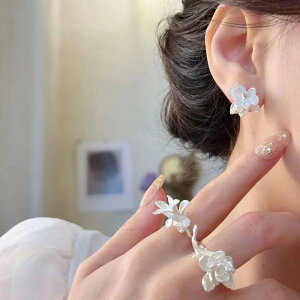 ANZT[ fB[X p sAX CO w g Be[W Vo[  t[  dCbLH I  i OWA[ gh ig Ðh~bN