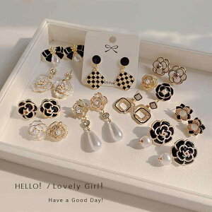 sAX CO fB[X ؍ JA `[t tFCNp[ NX^ hbvsAX g t@bV i WG[ ANZT[  o p[eB[(x2)