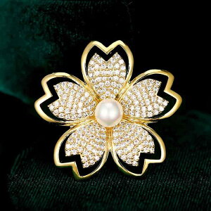 �u���[�` �����p ��i�ȃp�[���n�[�g ���킢���� ���݂� �W���R�j�A �@�� ������ ���� ���i�g�� �h���X�A�b�v �������� �A�N�Z�T���[