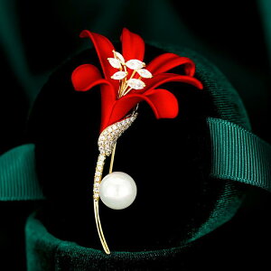 u[` p  ؂₩ i GKg ؍ 킢 {dCbLH Gi S  ԕ RT[W Xg[s X[c WPbg s[X tH[} p[eB