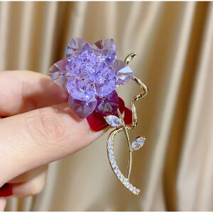 �u���[�` �j�����p �I�[�X�g���A���N���X�^�� ���[�Y �t�����[���`�[�t ������ �G���K���g �S�[���h���b�L ���� �؂₩ �t�H�[�}�� ������ �p�[�e�B�[ ���i�g�� �v���[���g