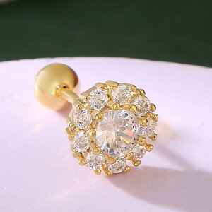 C[Jt sAX X^bhsAX fB[X 􉽊w XN[ pFWRjA Ԃ ؚ Vv ~j} S[h Vo[ bLH  ig fC[[X