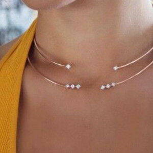 lbNX fB[X ĕ Vv ^ I[v w WRjA `F[ y_g t p[eB[  Ă΂ hXAbv S[h Vo[ 􉽊w͗l dCb