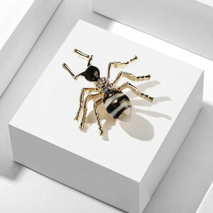 u[` fB[X ؍ Vv t@bV HGi  A`[t su[` 킢  i JWA tH[}(x2)