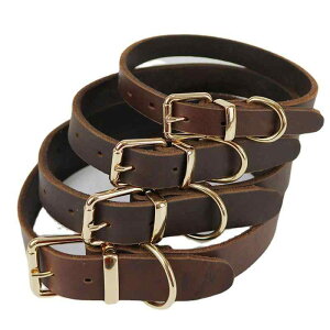  p ^ ^ {v v U[ v ϋv U P o x[VbN _[NuE(x2)