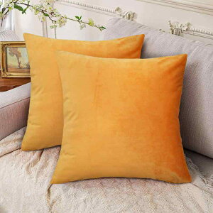 �N�b�V�����J�o�[ ���n �x���A �x���x�b�g �\�t�@ ���r���O�p 45x45cm ���ނȂ� �k�[�h�N�b�V�����p �s���N �u���b�N �I�����W �l�C�r�[ �u���[ �p�[�v�� �O���[ �C���e���A�G�� �A�����J���X