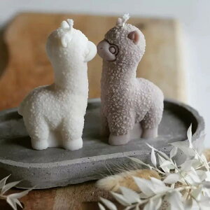 VR[h ApJ  Aj} A  Lh 낤 A}Xg[ A}fBt[U[ W^ ΍pIuWF I[ig  nhCh Ntg DIY 