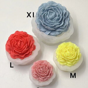 VR[h O  Lh A} ΍p Ό  DIY  nhCh Ntg G IuWF 쐬c[ sK 召TCY (x2)