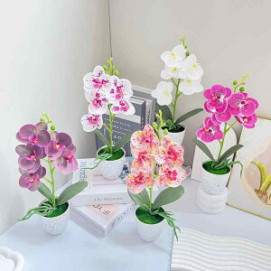  Ӓ |bg A  CeA rO _CjO  IuWF tFCNO[ A[gt[ sv sv A {   (x2)