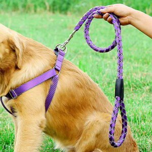 pn[lX xXg^  [hZbg iC Up h~ Pp  ^ ^ ^Ή u[ bh sN O[ p[v S M L XLTCY