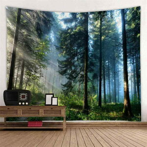 ^yXg[ {^jJ  Ri EH[fR[V wiz Ǐ ` ^   ͗lւ Q rO  |GXe