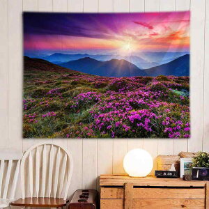 ^yXg[ jp F̉Ԕ i c  EH[fR[V 唻 t@ubN|X^[ wiz Ǌ| rO Q w  CeA ͗lւ |G