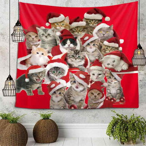 ^yXg[ NX}X jՃ[h Ǌ| wiz jp w   rO Q fR[V |GXef ^ ` 킢 EH[A[g