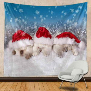 ^yXg[ jp NX}X |z wiz EH[fR[V Ǐ ^  킢 |GXe CeA  ͗lւ  