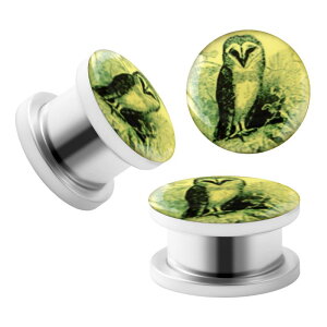 {fBsAX jp tNE`[t WGiH XeX glsAX g ăX^C JWA Xg[gt@bV Aj}fUC Vo[J[ L