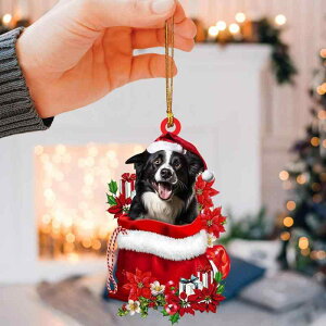 NX}X _ Vv tbg AN ̖ pCc[  [~[  Ǌ| nMO I[ig fR[V LOi v[g Mtg