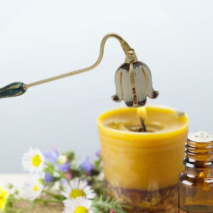 Lh Xibt@[ [sA g AeB[N z[[ 莝 A}Lh Ώ c[ CeA G u   S[h 