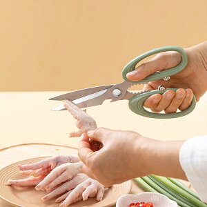 Lb`nT~ @\  ƒp ^ XeX {؂ J ē o[xL[ BBQ ؂ p 䏊pi  ϋv O[ x[W