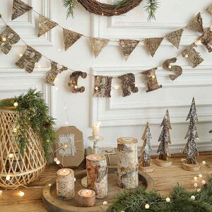 NX}XfR[V ؐ p At@xbg  v[g [NX}X ݂艺  i`CeA Ǌ| ͋C