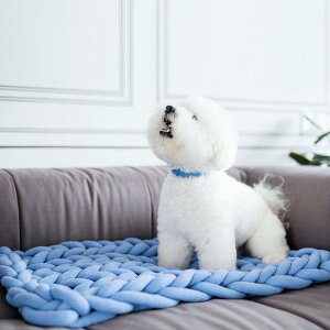 uPbg d EFCg `L[[ DIY | ҂ݕ ɑю ȓ Ђ| \t@Jo[ xbhJo[ I[V[Y  ӂӂ |GXe k CeA