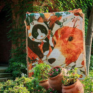 }`Jo[ A[g ^yXg[ uPbg \t@Jo[ Ǌ| Lvp |GXe Rbg LN^[ c i` CeA