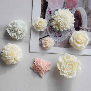 VR[h  KN O @ J[l[V Lh A}Xg[  DIY nhCh Ntg ^ o^C Mtg v[g CeA (x2)