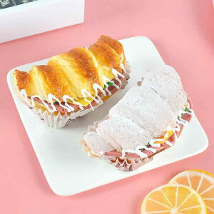 HiTv ᔽ  A 킢 tBONbT }Olbg x[J[ V[P[X fBXvC CeAG PUf(x2)