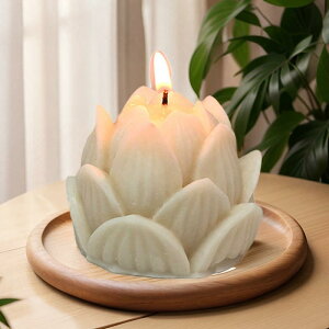 VR[h @̉ @ A}Lh W ΍p \[v Ό HiVR  nhCh Ntg CeA ^(x2)