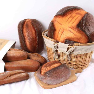 HiTv tFCNt[h Cp AJ PU Af A I Be X܃fBXvC V[P[X  CeAG IuWF(x2)